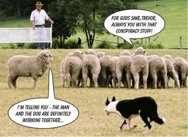 funny-sheep-jokes-16_zps0158343e